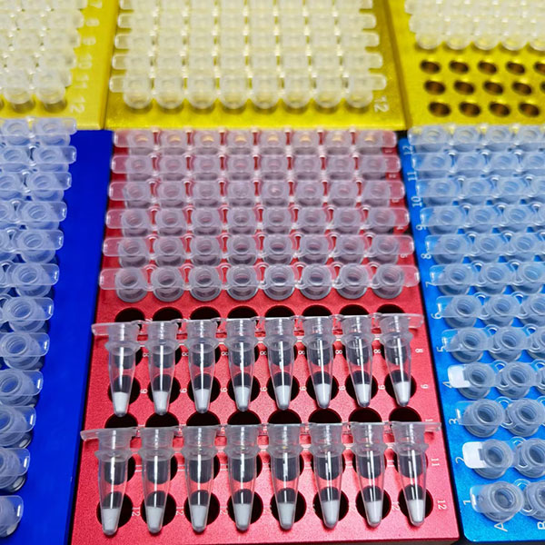 Freeze Dried Samples in PCR Plates