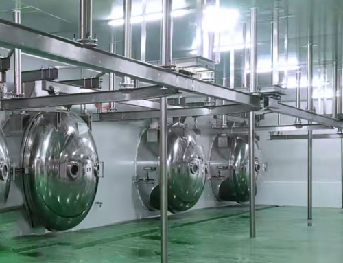 FD-100R Food Freeze Drying Plant Put Into Service