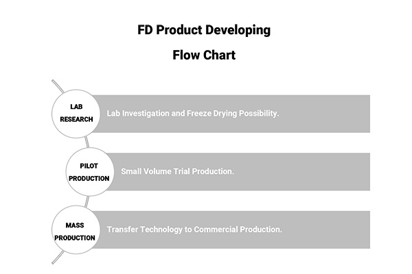 FD Product Developing Flowchart
