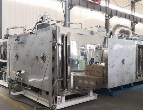 FD-10LS 10m2 Commercial Size Pharmaceutical Freeze Dryer with CIP