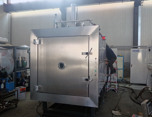 FD-10LS 10m2 GMP Compliant Industrial Pharmaceutical Freeze Dryer Lyophilizer With CIP SIP