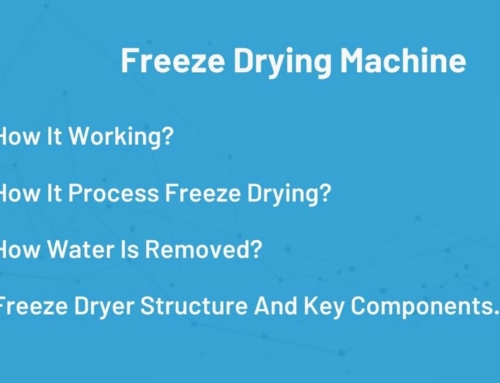 How Freeze Dryer Machine Working, How it Processes Freeze Drying?